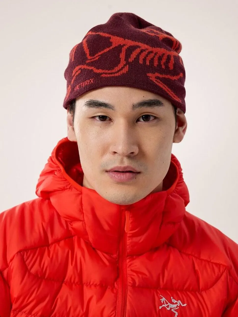Arcteryx Bird head toque