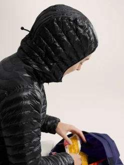 Arcteryx Cerium SL Hoody W