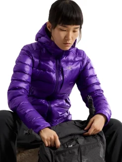 Arcteryx Cerium SV hoody W