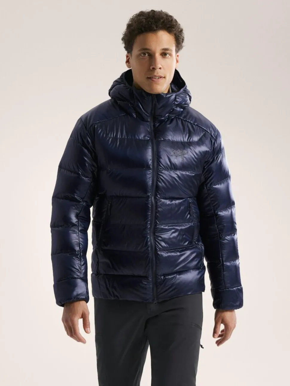 Arcteryx Cerium SV hoody M