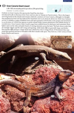 Boeken Overig Wildlife of Madeira & The Canary Islands