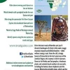 Bradt Travelguides Namibia - reisgids Namibië