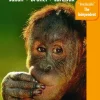 Bradt Travelguides Reisgids Borneo