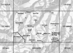 Bundesamt - Swisstopo Topografische kaart 1178 Gross Litzner