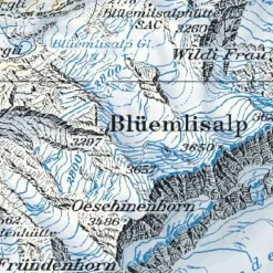 Bundesamt - Swisstopo Topografische kaart 1231 Urseren