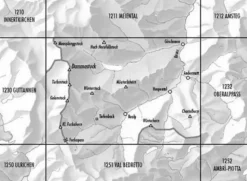 Bundesamt - Swisstopo Topografische kaart 1231 Urseren