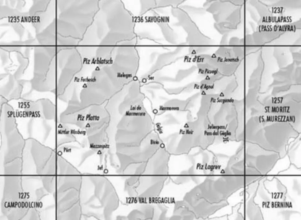 Bundesamt - Swisstopo Topografische kaart 1256 Bivio