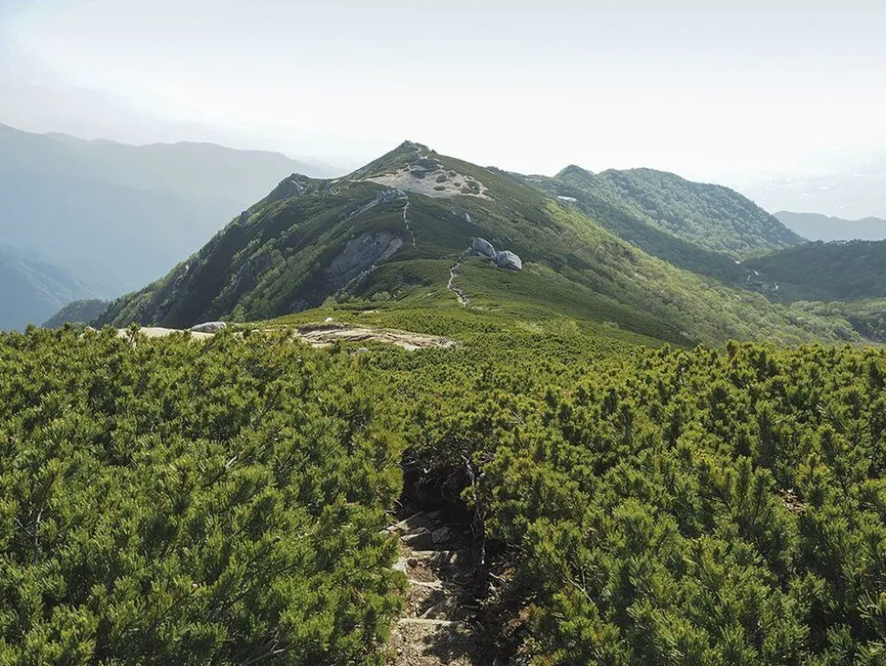 Cicerone Hiking & Trekking in the Japan Alps & Mount Fuji