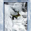 Cicerone Klimgids Winter Climbs Ben Nevis and Glen Coe