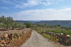Cicerone Walking in Portugal