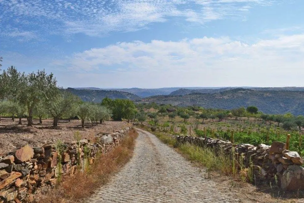 Cicerone Walking in Portugal
