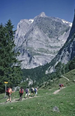 Cicerone Wandelgids Tour of the Jungfrau Region