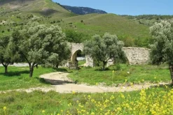 Cicerone Wandelgids Walking in Cyprus