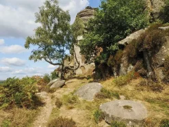 Cicerone Wandelgids Walking in the Peak District - White Peak East