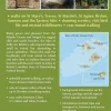 Cicerone Wandelgids Walking in the Isles of Scilly