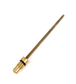 Coleman Check valve & Air stem 200-6381