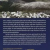 Collins Wandelgids The Comeragh, Galtee, Knockmealdown