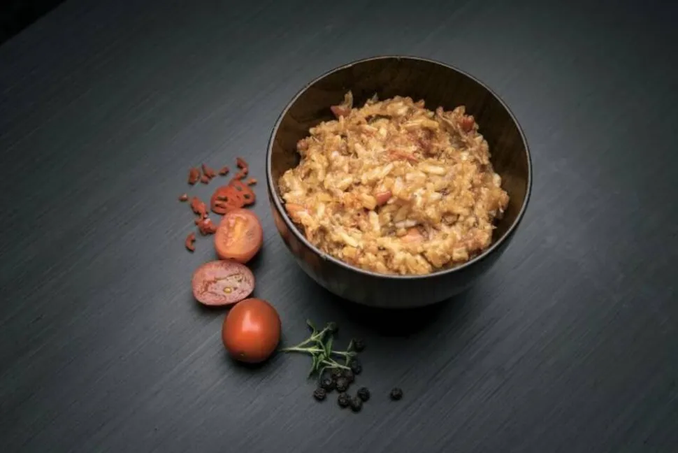 Drytech Pulled pork with rice