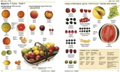 Eyewitness Guides Russian English Visual Bilingual Dictionary