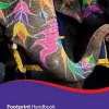 Footprint Handbook India