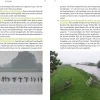 Gegarandeerd Onregelmatig De groenste wandelingen in de Randstad