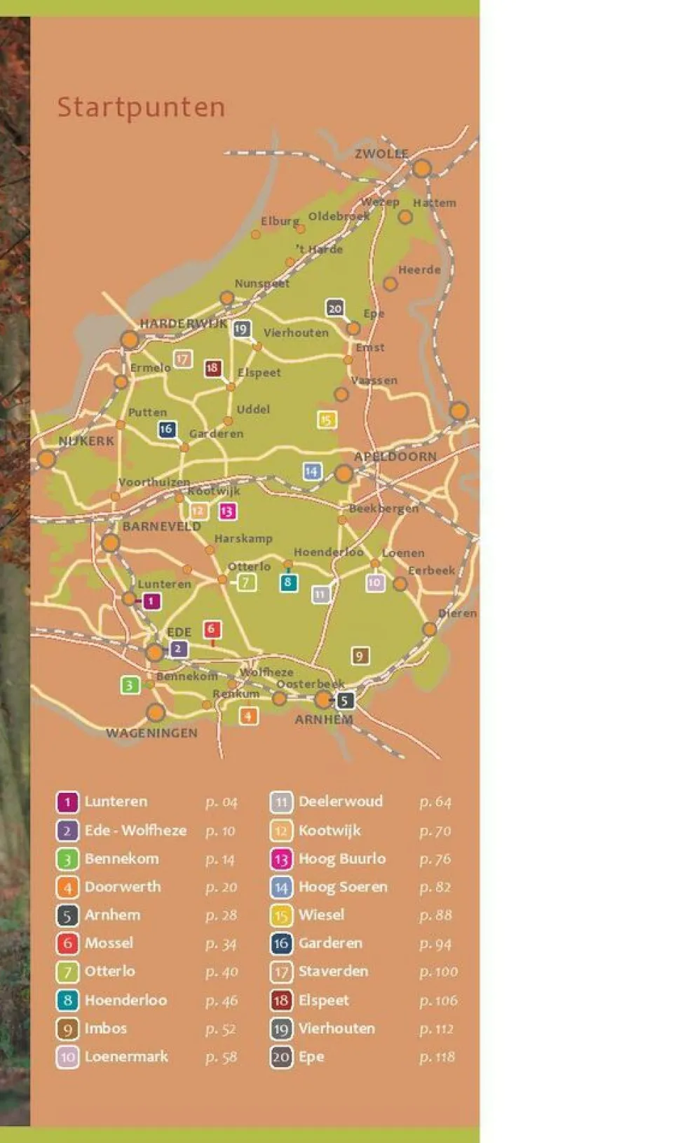 Gegarandeerd Onregelmatig Wandelen over de onbekende Veluwe