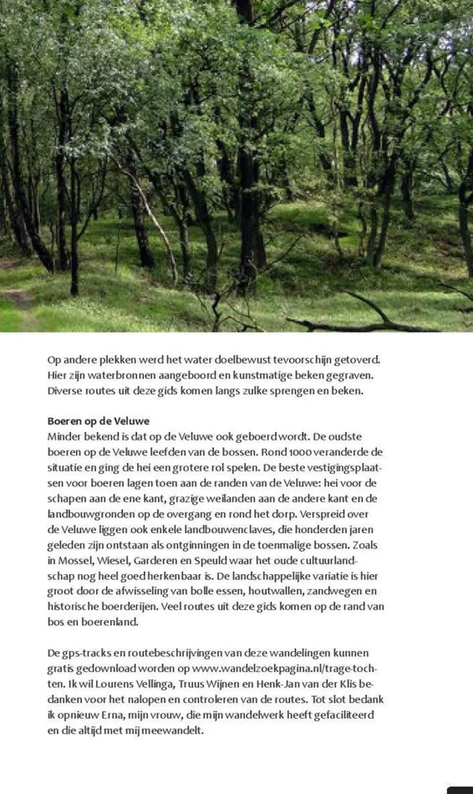 Gegarandeerd Onregelmatig Wandelen over de onbekende Veluwe