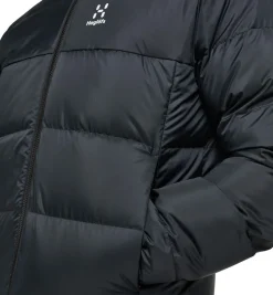 Haglofs Asp 3 in 1 parka GTX parka men