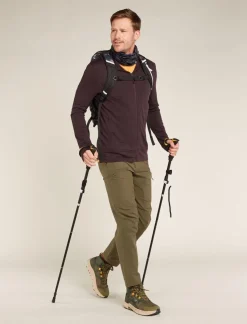 Icebreaker M merino 260 quantum IV LS Zip Hoodie