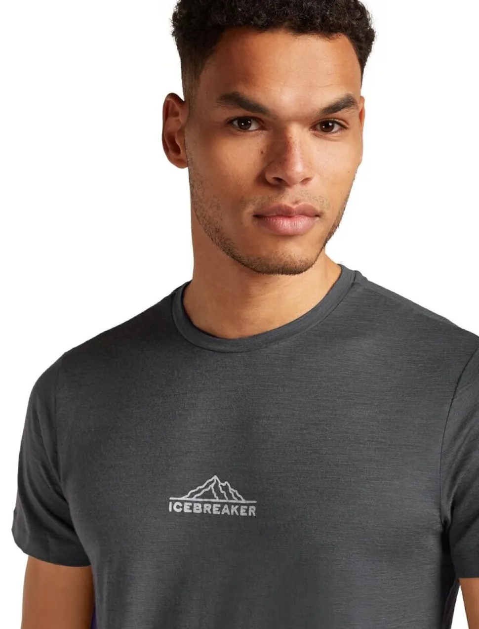 Icebreaker M Merino 150 Tech Lite ss Tee Road To Cook