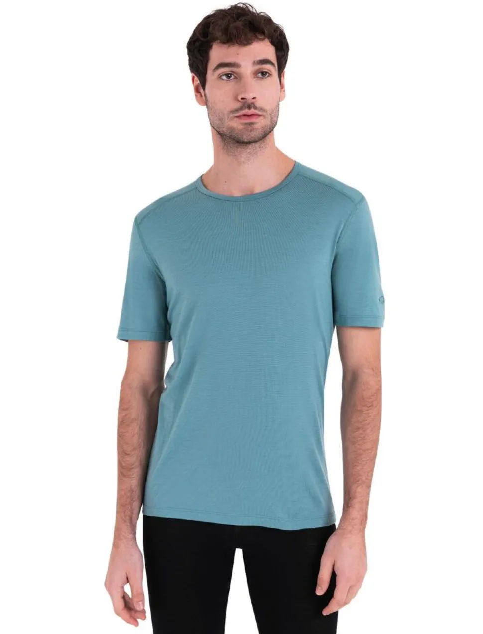 Icebreaker Mens 200 oasis ss crewe
