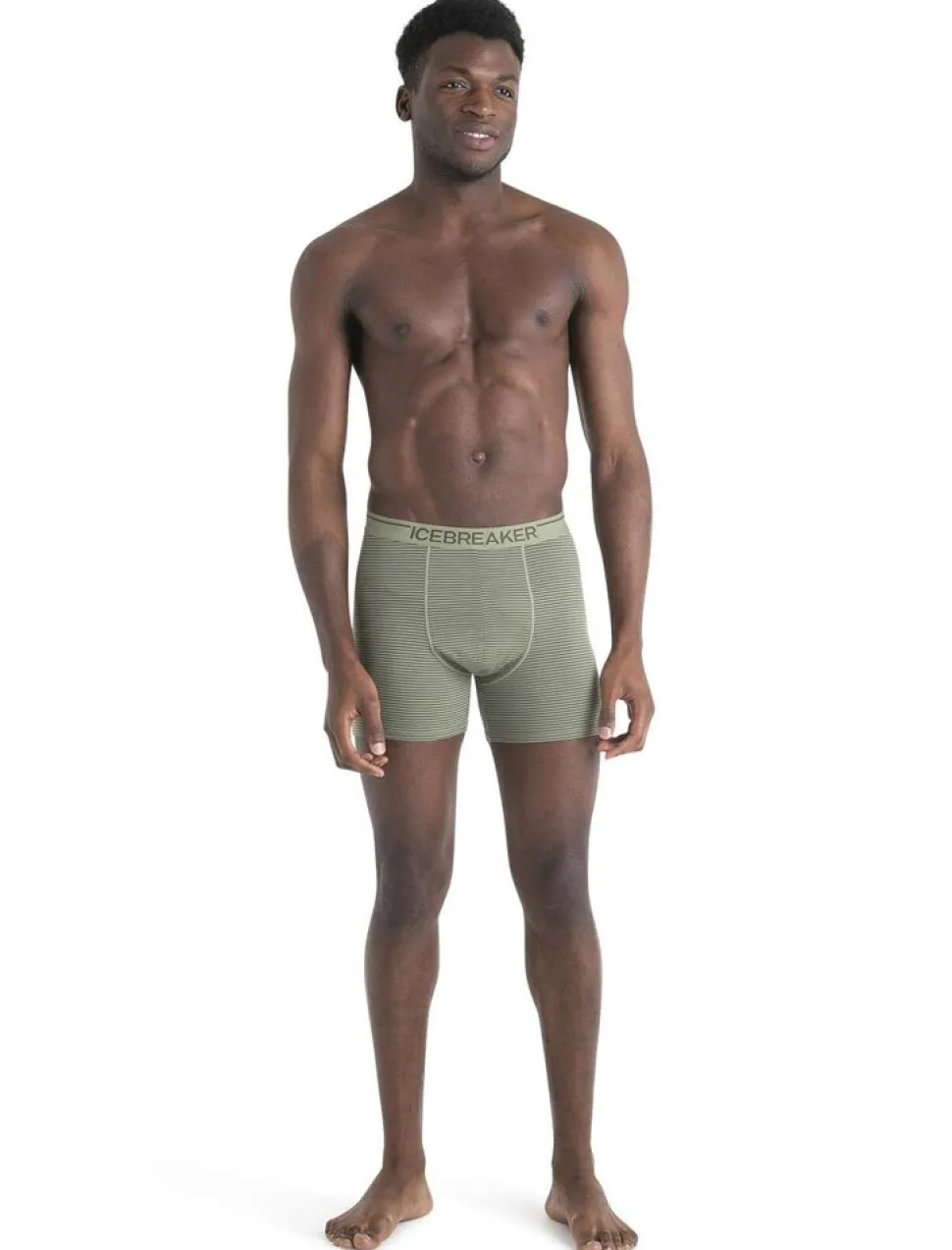 Icebreaker Mens anatomica boxers