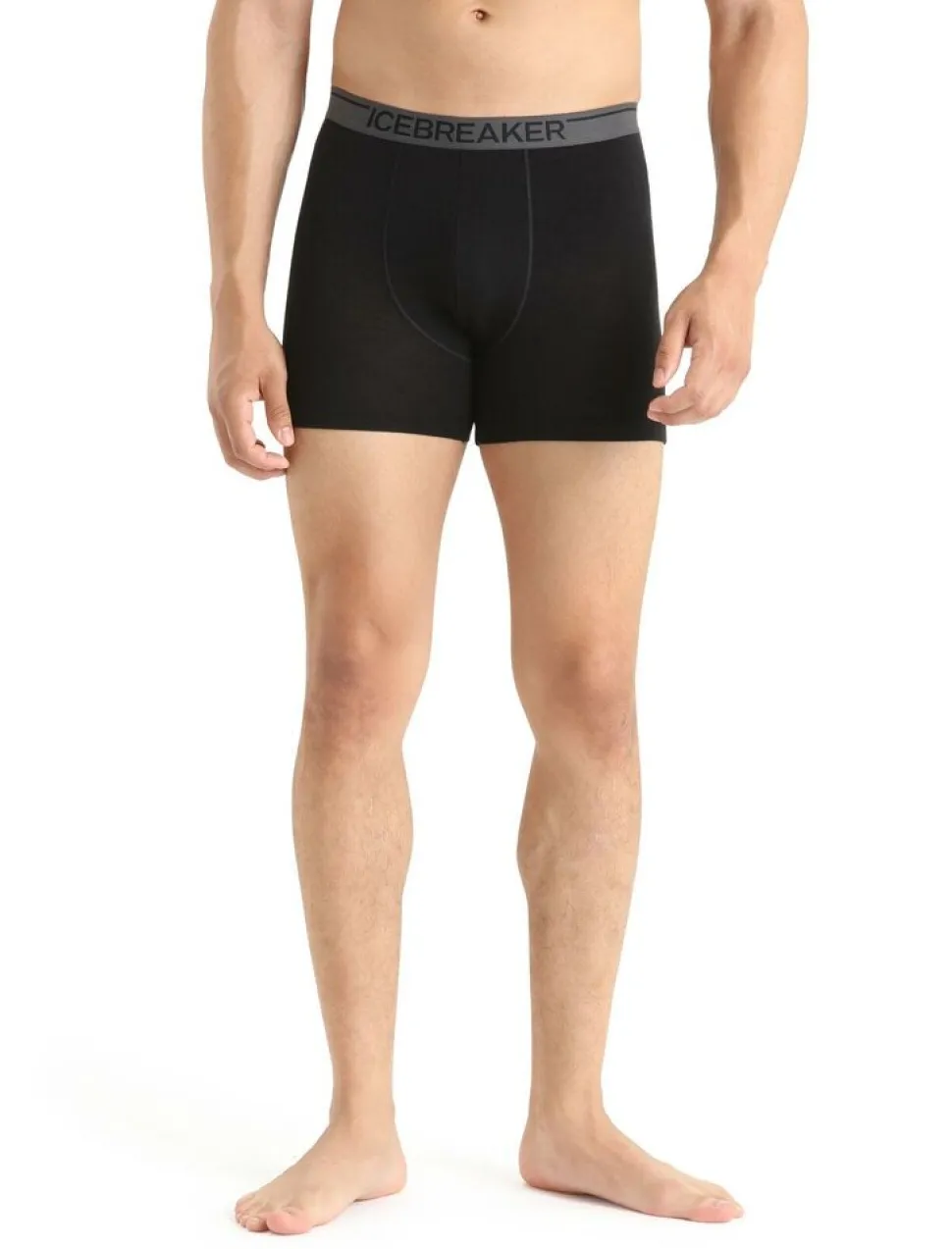 Icebreaker Mens anatomica boxers
