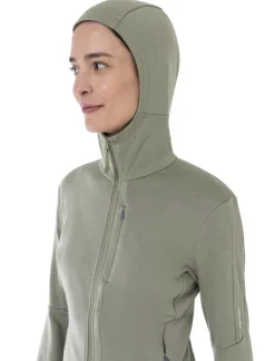 Icebreaker W Merino 260 Quantum IV LS zip hoodie