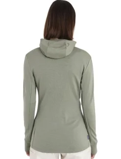 Icebreaker W Merino 260 Quantum IV LS zip hoodie