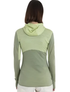 Icebreaker W Merino 200 Realfleece Descender LS zip hoodie