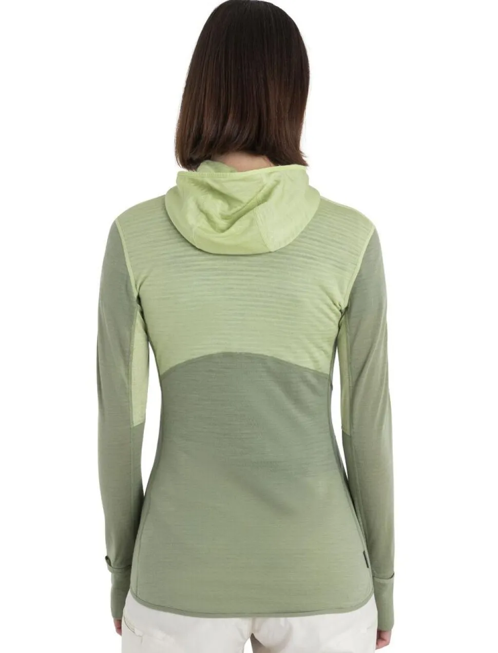 Icebreaker W Merino 200 Realfleece Descender LS zip hoodie