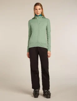 Icebreaker W Merino Blend 300 RealFleece™ Descender LS Zip Ho