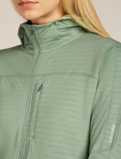 Icebreaker W Merino Blend 300 RealFleece™ Descender LS Zip Ho