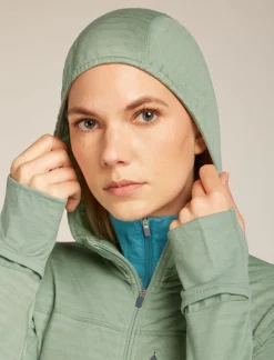 Icebreaker W Merino Blend 300 RealFleece™ Descender LS Zip Ho