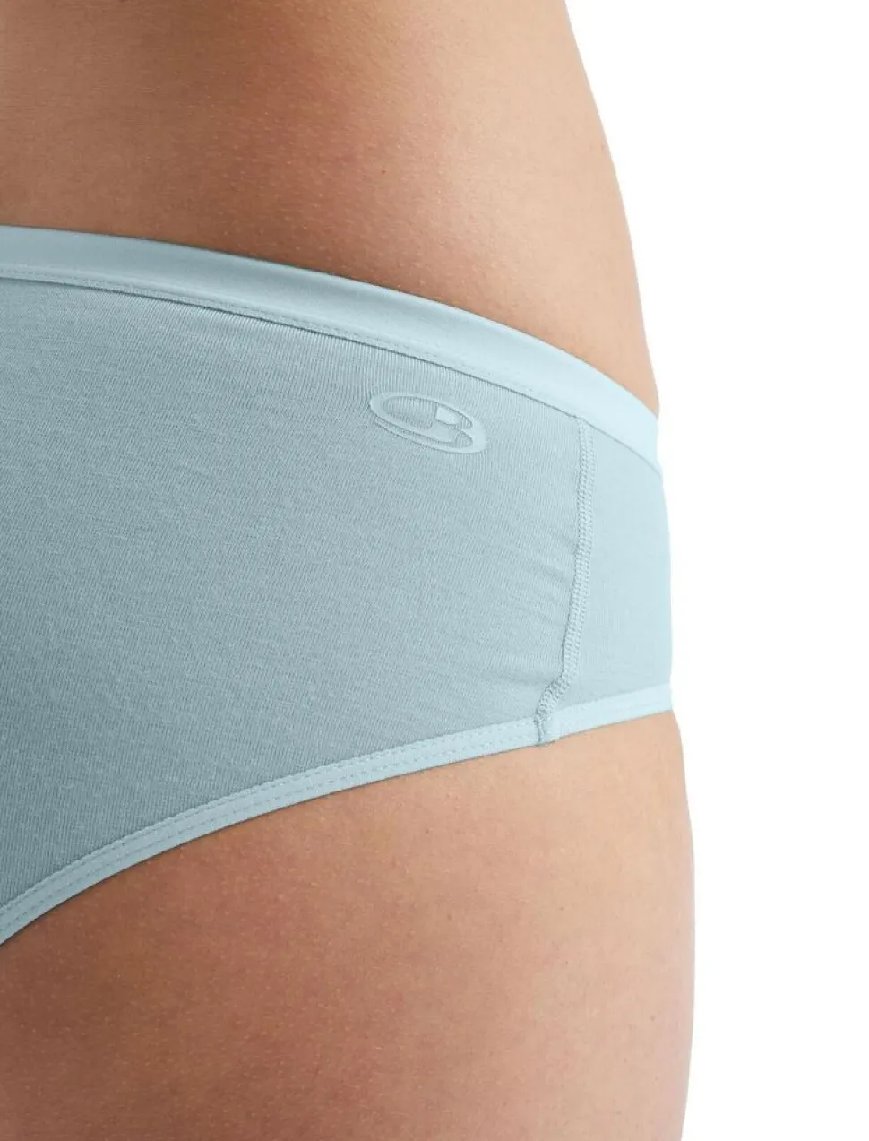 Icebreaker W Siren Hipkini