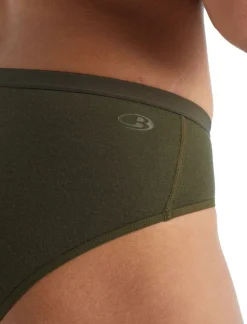 Icebreaker W Siren Hipkini