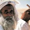 ITMB Wegenkaart Algeria