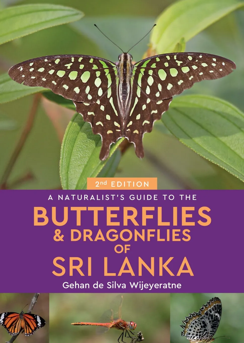 John Beaufoy Butterflies & Dragonflies of Sri Lanka