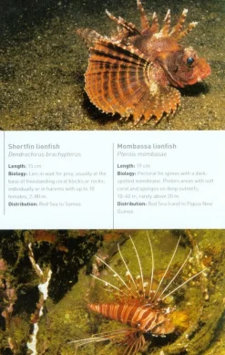 John Beaufoy Tropical Marine Life of the Indo-Pacific Region