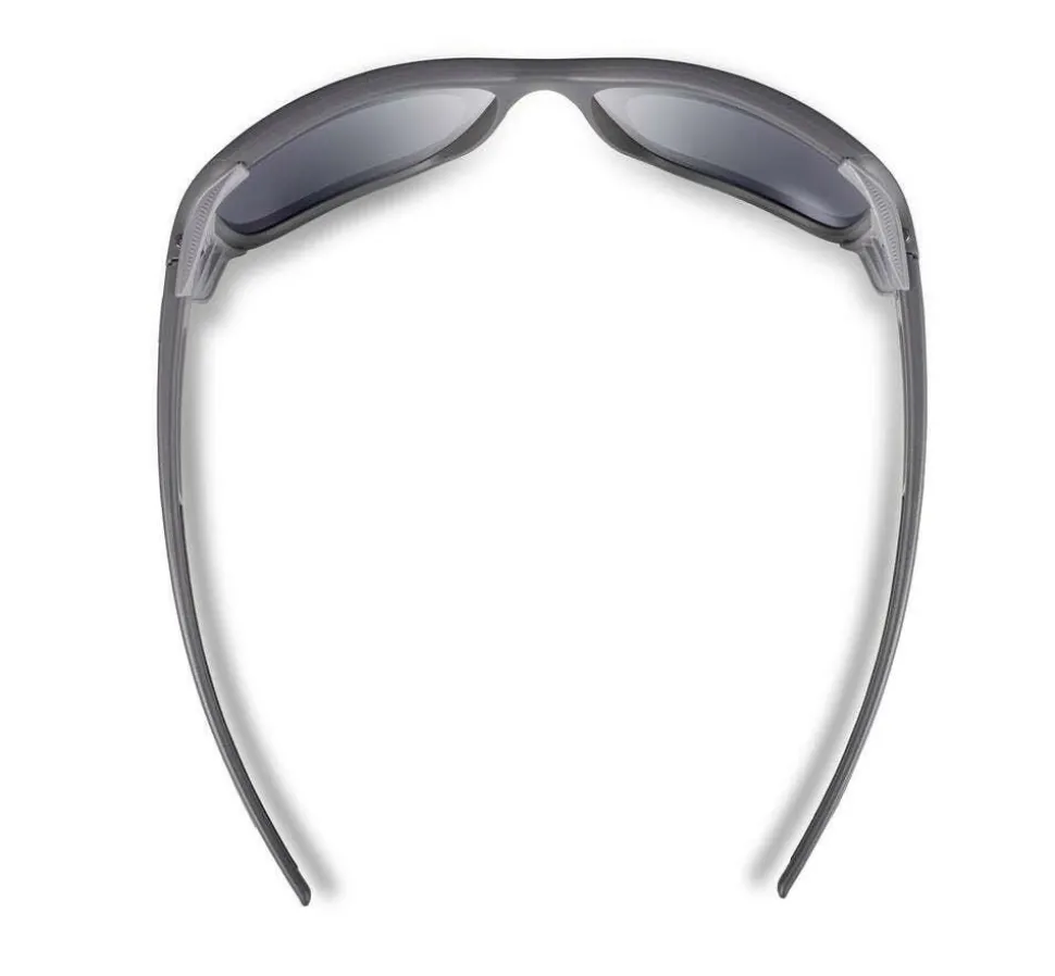 Julbo Monterosa 2 noir/bleu plz 3+