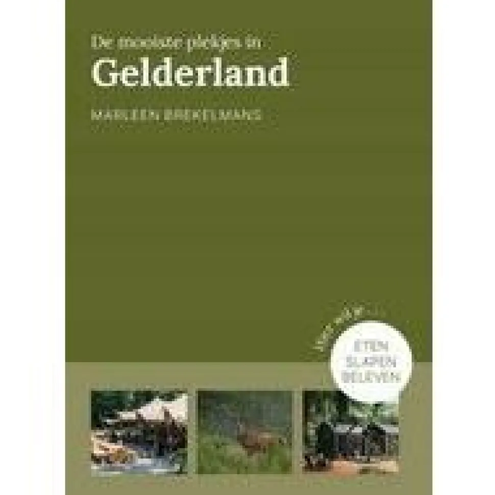 Kosmos Mooiste plekjes in Gelderland