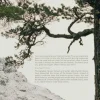 Lannoo Borealis