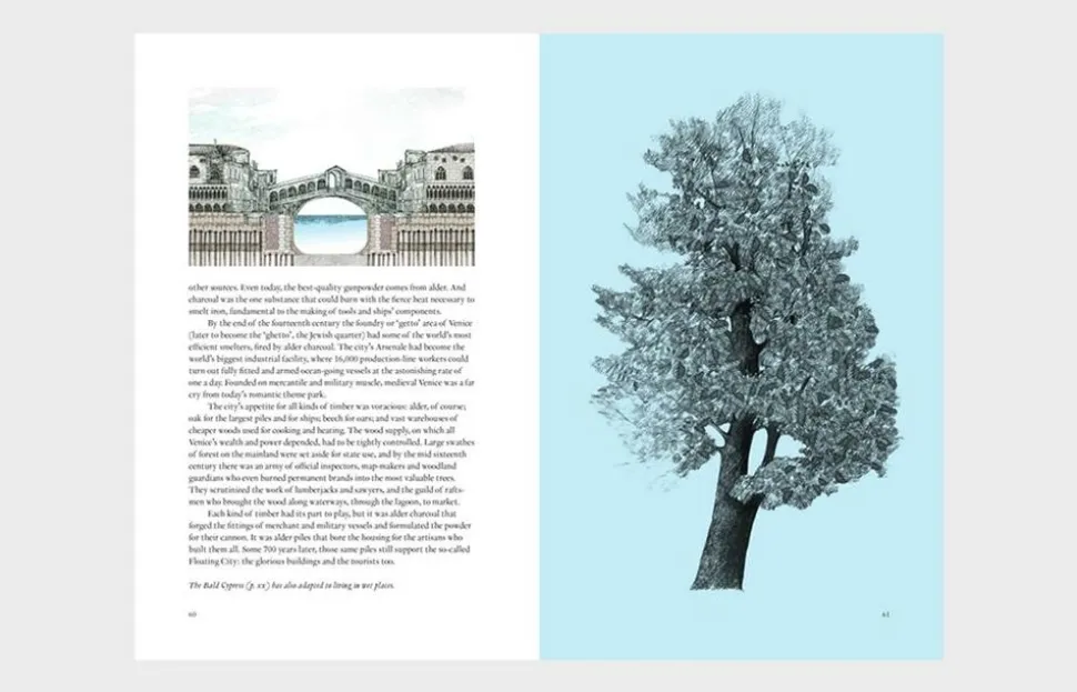 Laurence King Around the World in 80 trees