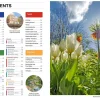 Lonely Planet Netherlands 9